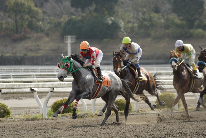 2007年3月25日（日） 高知競馬 8R 河田知佳子誕生日特別 レース_a0077663_15201783.jpg