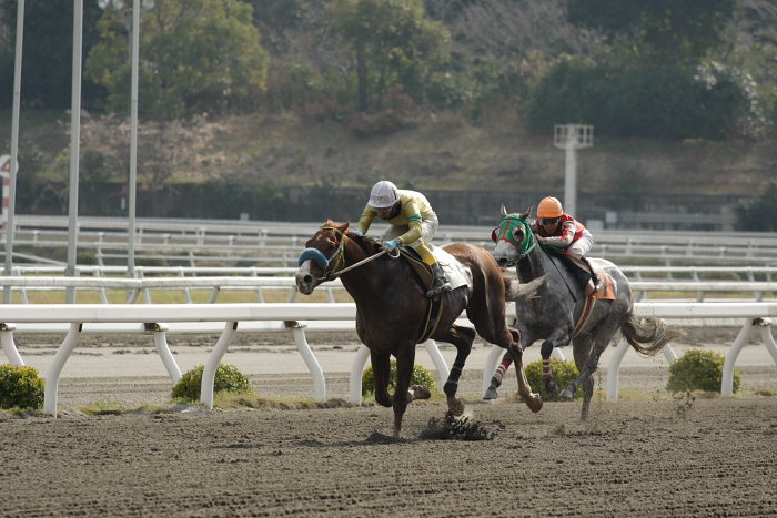 2007年3月25日(日) 高知競馬 8R 河田知佳子誕生日特別 レース_a0077663_15203541.jpg