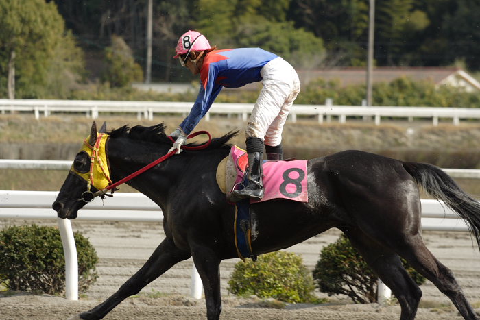2007年3月25日(日) 高知競馬 8R 河田知佳子誕生日特別 レース_a0077663_1520542.jpg