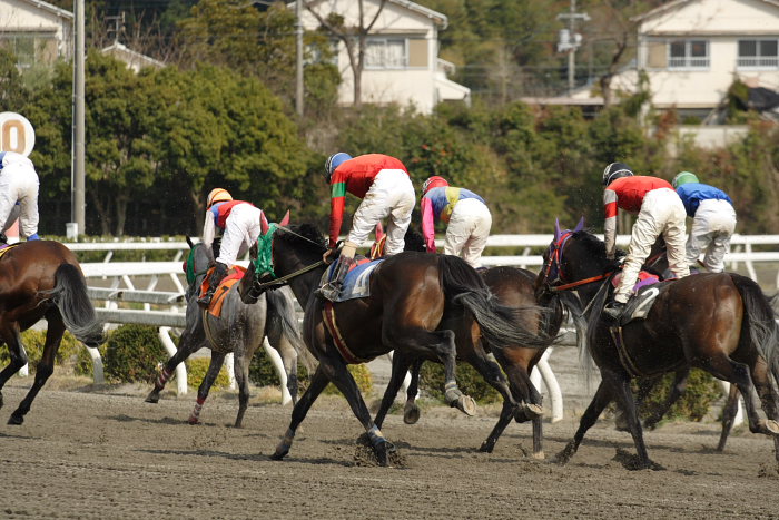 2007年3月25日（日） 高知競馬 8R 河田知佳子誕生日特別 レース_a0077663_1521494.jpg