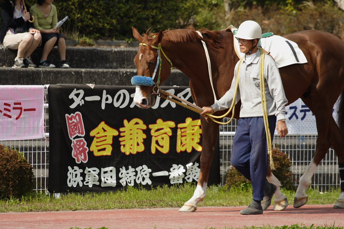 2007年3月25日（日） 高知競馬 8R 河田知佳子誕生日特別 パドック_a0077663_1561982.jpg