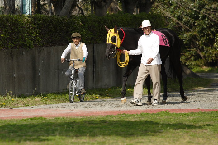 2007年3月25日（日） 高知競馬 8R 河田知佳子誕生日特別 パドック_a0077663_1563014.jpg