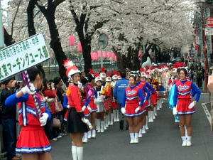 染井吉野桜まつり_a0086270_14273742.jpg