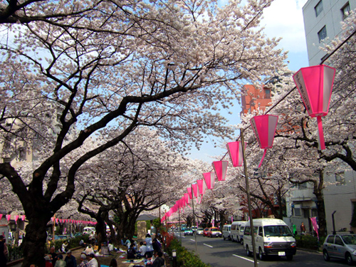 b0032175_0221167.jpg
