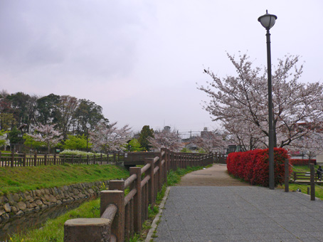 e0112077_2105010.jpg