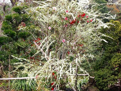 c0078480_016050.jpg