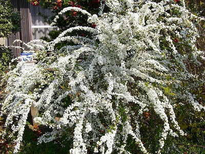 c0078480_0413188.jpg
