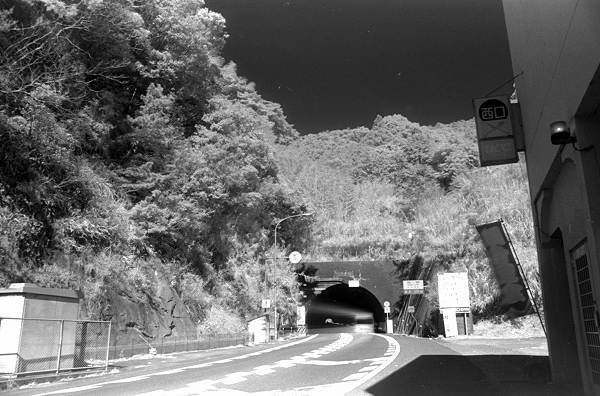 d0045383_1092322.jpg