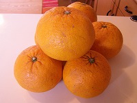b0018986_15233844.jpg