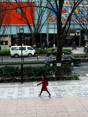 3月が終わった_b0055196_1958763.jpg