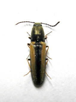 e0083097_02773.jpg