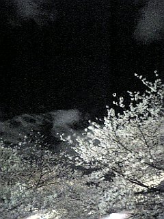 e0104399_12102890.jpg