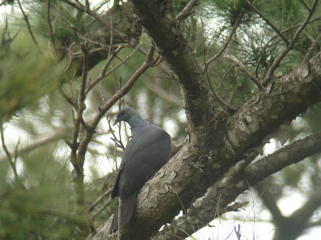 c0079001_1719234.jpg