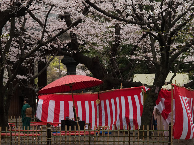 靖国神社_f0002801_20533917.jpg