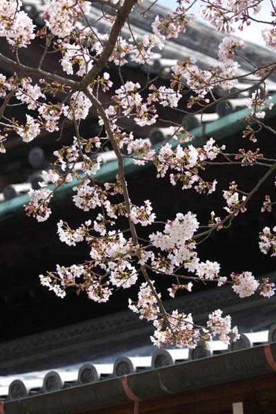「紀三井寺1」_b0043304_2384667.jpg