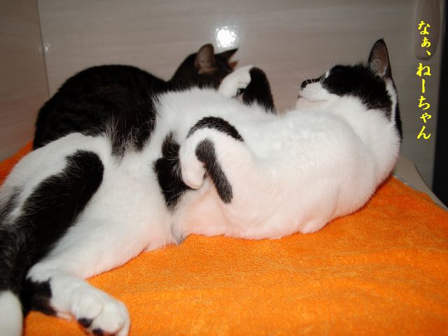 e0094407_122657.jpg