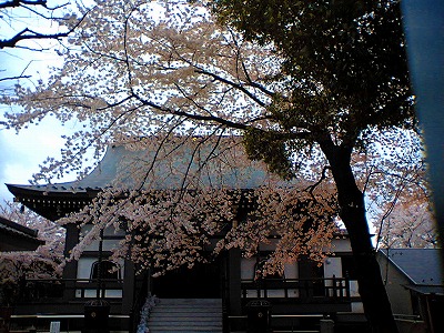 花見ラン2007_a0036808_14183867.jpg