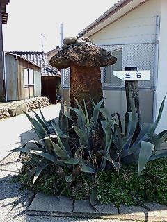 出張11日目その2_b0042308_3171937.jpg