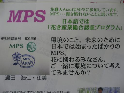 MPS_d0099708_23564343.jpg