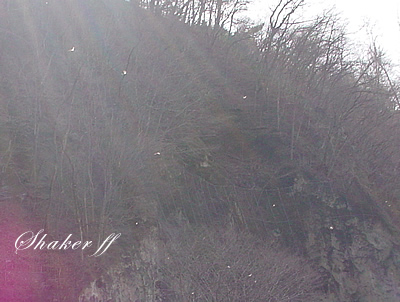 f0021008_1232729.jpg