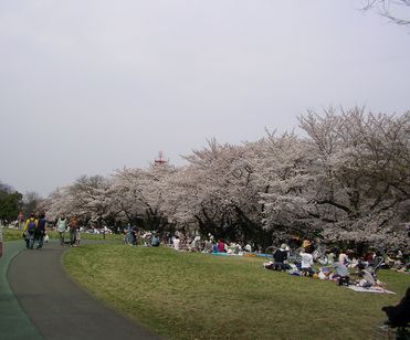 e0016412_2312217.jpg