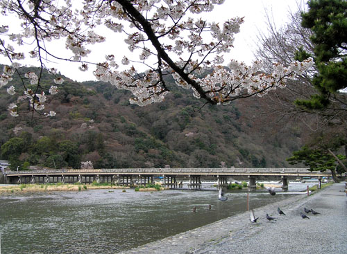 嵐山と亀山公園_e0048413_21504689.jpg