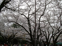 a0031714_1917683.jpg