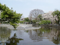 a0031714_19225063.jpg
