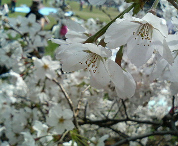e0049015_12122378.jpg