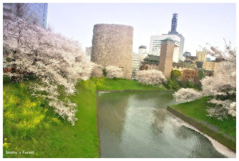 竹橋～千鳥ヶ淵（桜）_f0014815_23141728.jpg