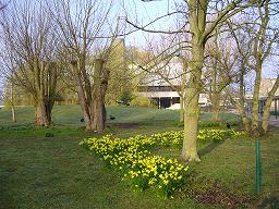 f0087323_17154851.jpg