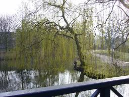 f0087323_174479.jpg