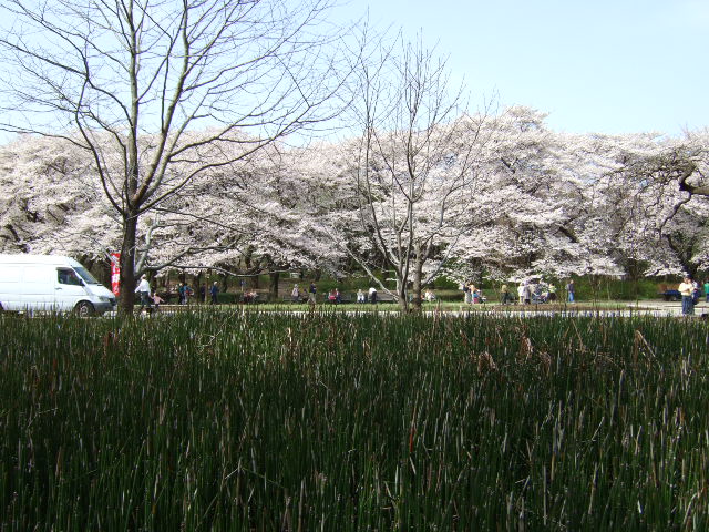 d0086329_23184947.jpg