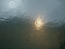 e0096331_7504944.gif