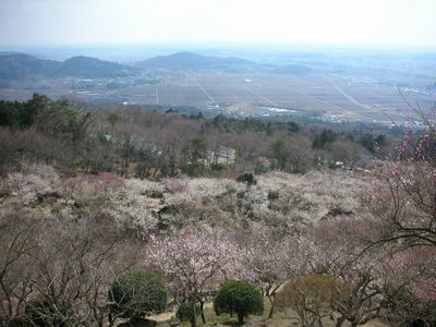 b0042334_14393894.jpg