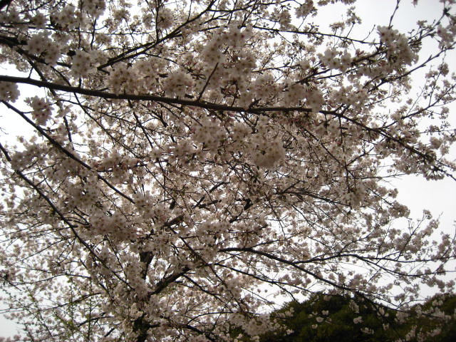 b0109636_12511114.jpg