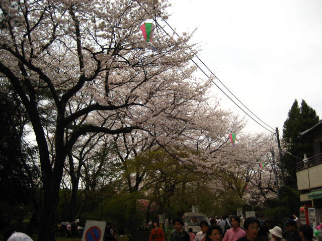 b0109636_12515869.jpg