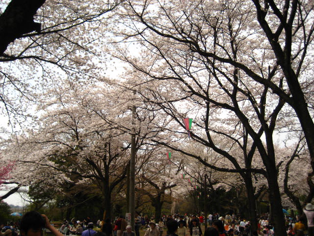 b0109636_12522622.jpg