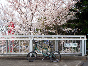 f0009439_151452.jpg