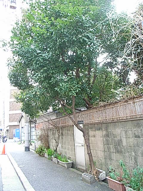 f0040342_2346502.jpg