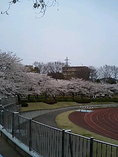 f0039843_1944989.jpg