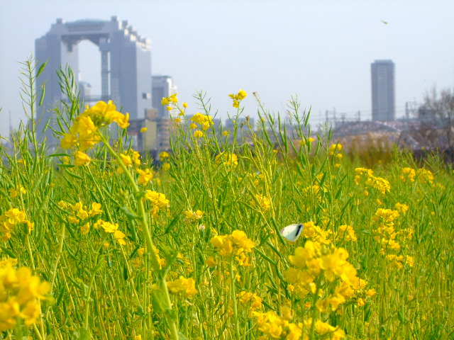 b0060646_211675.jpg