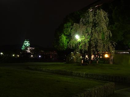 石山公園の枝垂れ桜　～夜～_f0108049_1283734.jpg