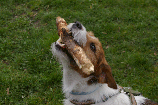 f0077150_23222152.gif