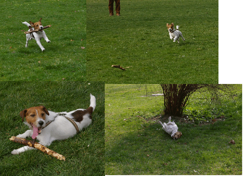 f0077150_23251099.gif