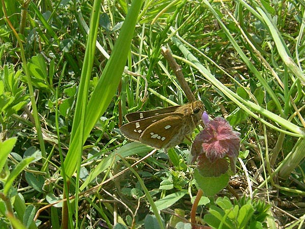 c0045352_16235041.jpg