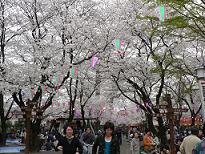 c0108853_21331698.jpg