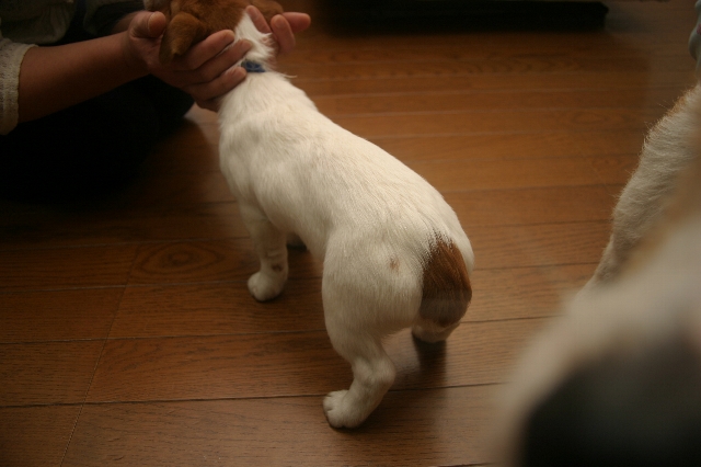 d0078954_21221839.jpg