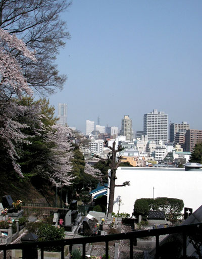 朝のお散歩　　三ツ沢公園＆元町公園_e0096955_11373239.jpg