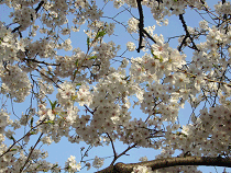 f0052756_22454384.gif